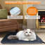 Rauchtown Pet Bed Accessory