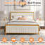 Single/Double Metal Platform Bed Frame With Upholstered Headboard And Footboard, No Box Spring Needed, Grey/Beige-275692836-271919932