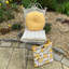 Garden Dining Chair Cushion