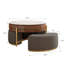 Table basse moderne à plateau relevable avec rangement caché