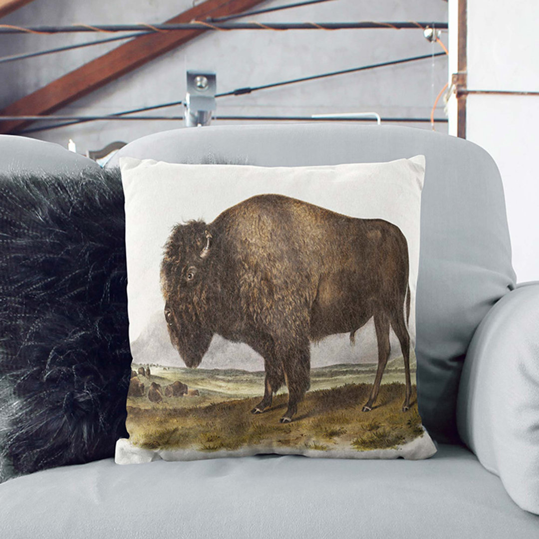 Square Cushion