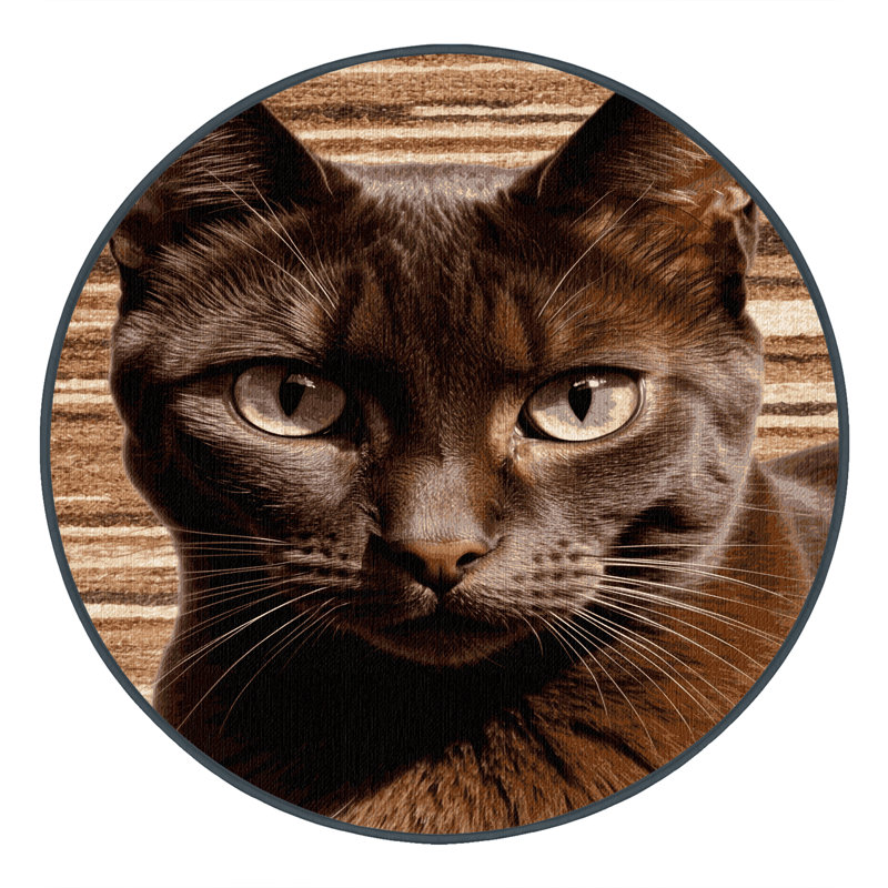  Tapis lavable brun Havana, Rond 7 pi