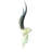 Real Blesbok Antelope Skull
