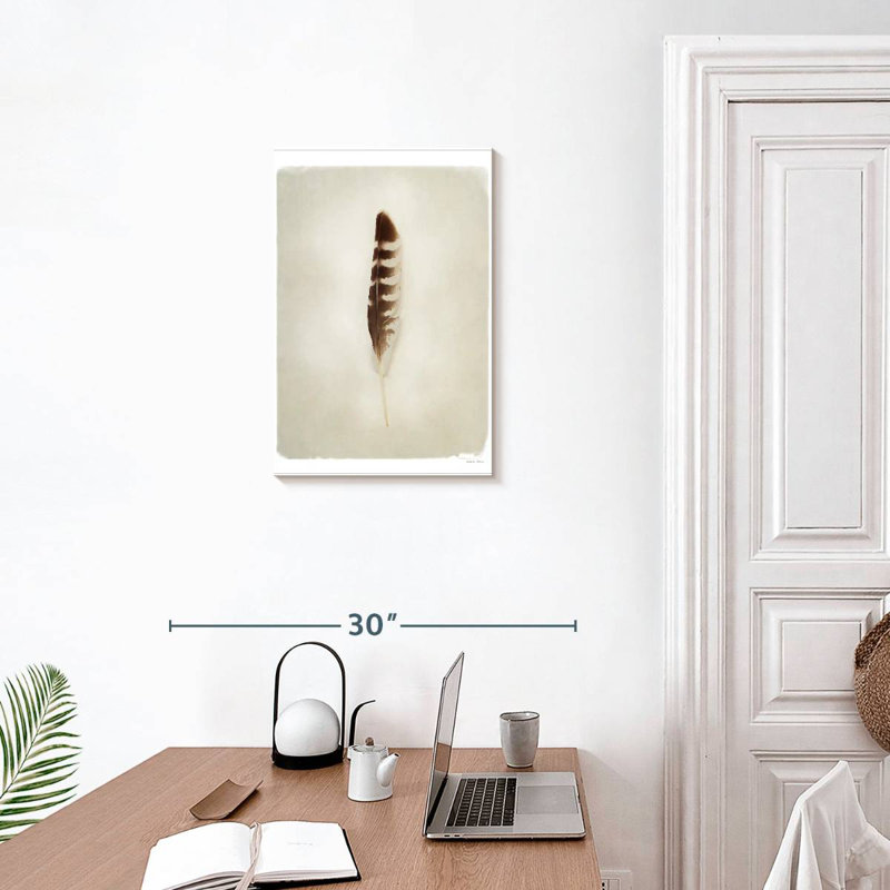 Feather I, 24" H x 16" W
