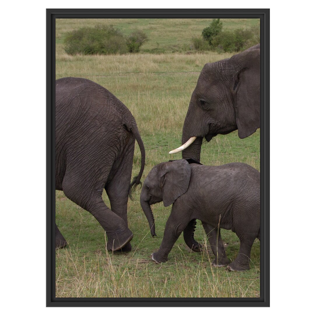 Gerahmtes Wandbild wandernde Elefantenfamilie