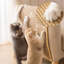 Lit pour chat Dione