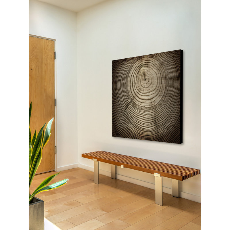 «Rings of Age», reproduction sur métal, H 40 po x l 40 po x P 1,5 po