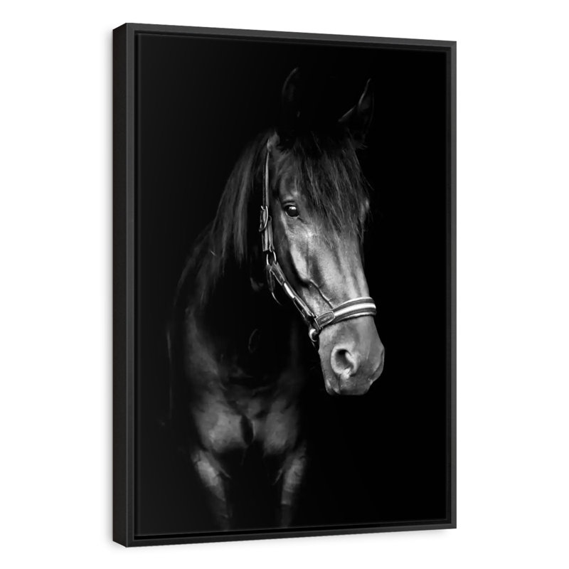 Cheval noir dans le noir, Cadre flottant noir, 17 po x 25 po