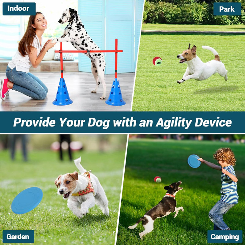Ensemble de cages de haies Dog Agility, 12 PCS / 87 PCS, ensemble de parcours d'agilité pour chien