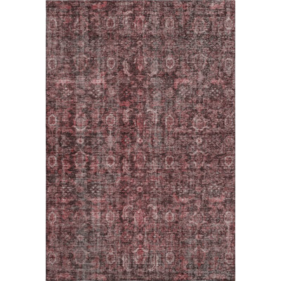 Premium Machine Washable Ducote AMF1145 Damask Rug