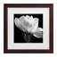 «Gardenia» par Michael Harrison-1064858214-1064858209