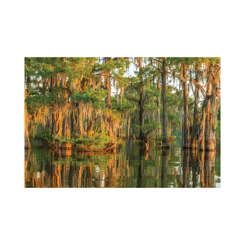 USA, Louisiana, Atchafalaya National Wildlife Refuge. Sunrise on cypress trees and Spanish moss. 1 Piece Wrapped Canvas Wall Art