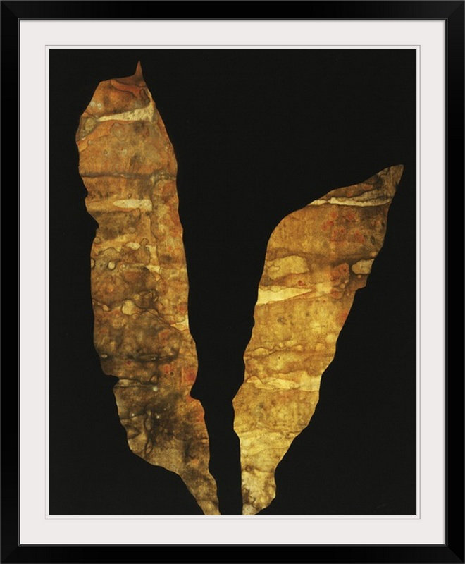 'Laminana II' Print, Noir encadré, 38" H x 32" lx 1" p