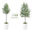 Olive artificielle 5 pi avec pot et mousse, plantes artificielles pour la décoration de bureau personnel-203492587