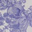 San Cristobal Toile Fabric-49396794