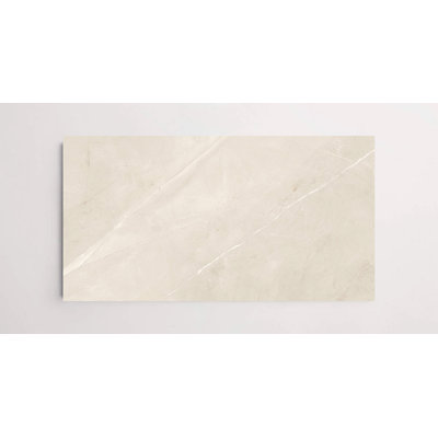 Magi 12" x 24" Polished