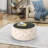 Eraman Glass Top Coffee Table-979853335