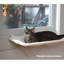 Lit pour chat Azaryah