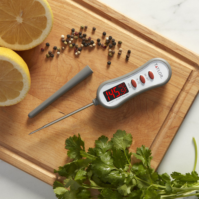 Thermomètre numérique à DEL Taylor