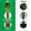 Figuier figuier en pot 48 po Engel-96917978