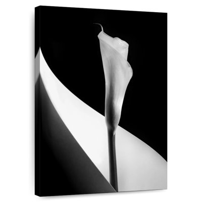 Harnek BW Calla Lily