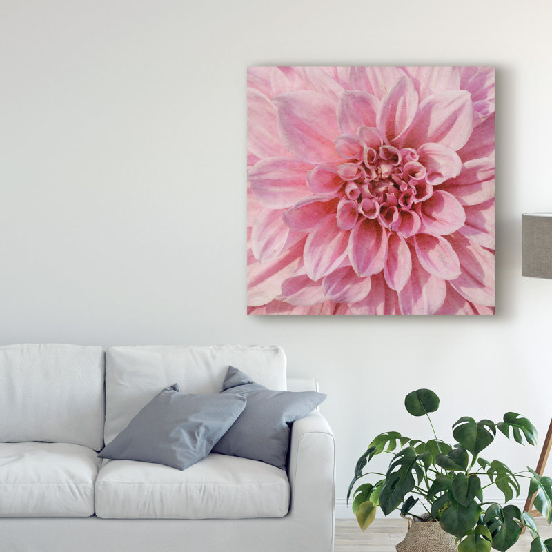 « wall fleur vii », photographie sur toile tendue, H 35 po x l 35 po x P 2 po