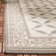 Tapis intérieur / extérieur beige Arneshia-1879535048