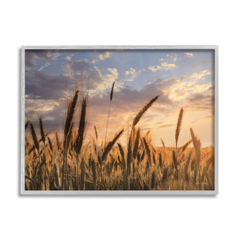 Photographie d'un cadre photo sur un panneau de fibres à densité moyenne, Estampe numérique Farmhouse