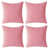 Rose vif