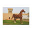 No Frame Print on Canvas-1643338014