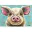 « rosey the porc on turquoise » par hippie hound studios, impression sur toile tendue-73699710-73699715-89606772