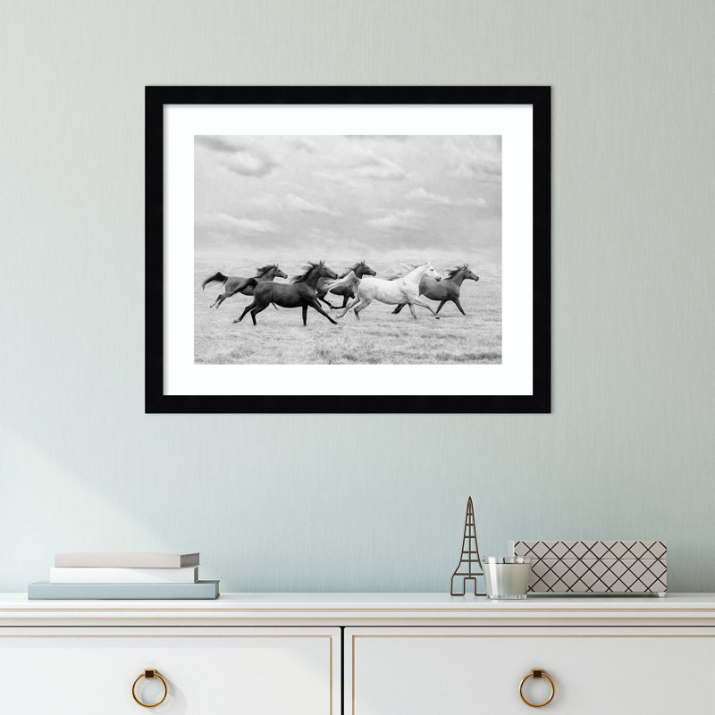 Horse Run I by PHBurchett, 15" H x 18" W, Black