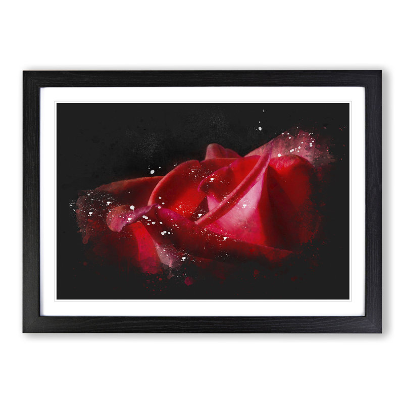 Red Rose Flower Vol.1 - Picture Frame Painting, Black Framed, 36cm H x 48cm W x 2cm D