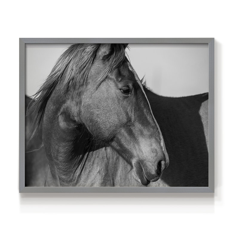 Flint Hills Wild Horse -Framed Print - Restickable, 22" H x 28" W, Gray