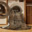 Indoor Rug-1417079331