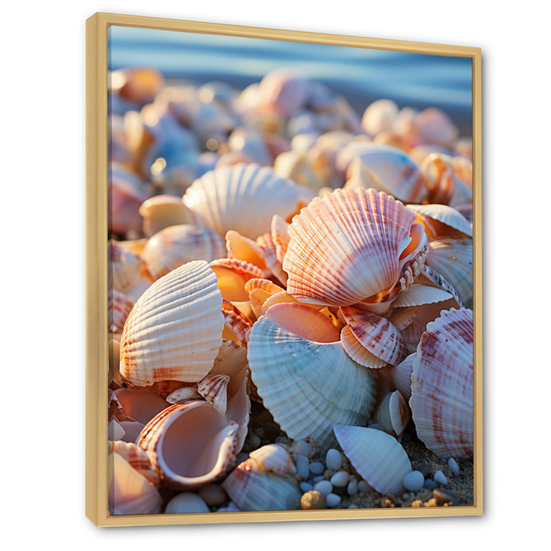 «Beach Photo Sunlit Shells I», reproduction sur toile, L 16 po x H 32 po, Cadre naturel flottant