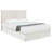Upholstered Queen or Full Panel Headboard Sand-599399978-570663739
