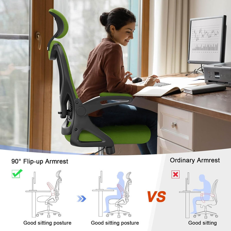 Ergonomic Office Chair, Computer Chair, Mesh Chair, Green