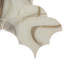 Virelle 9x9 in. White and Amber Brown Glossy Glass Arabesque, Fan Wall and Floor Tile (2.78 sq ft/case, 5-Pack)