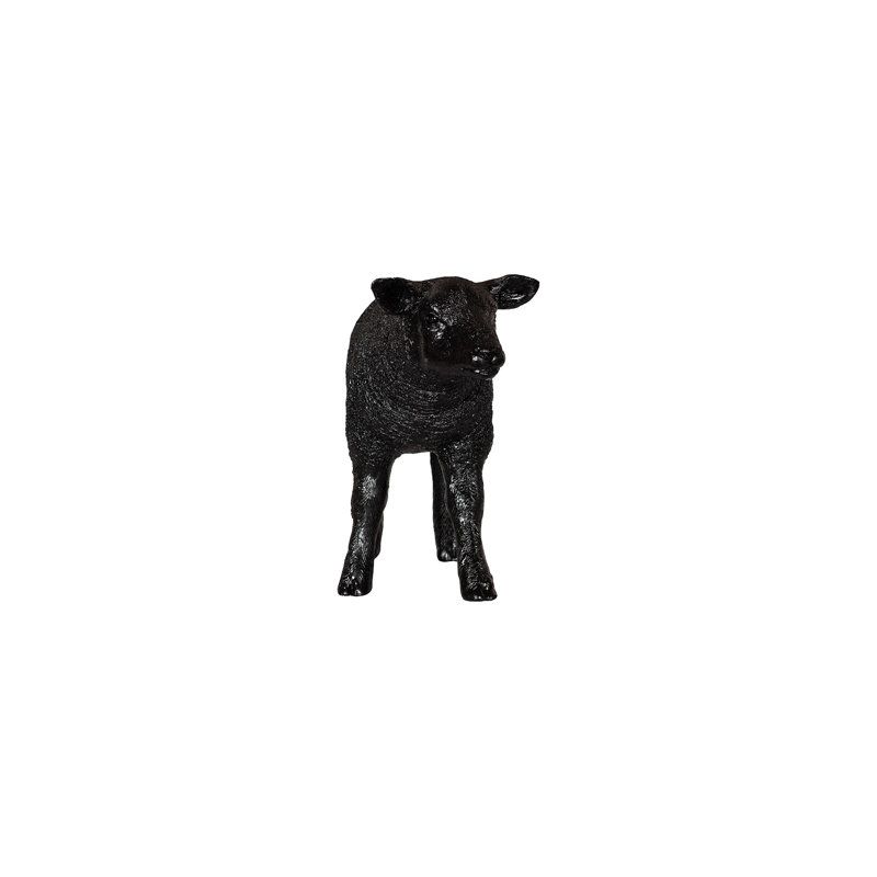 Mouton Texelaar, agneau, gelcoat noir