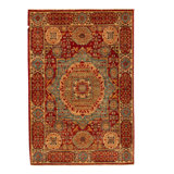 Oriental Area Rug in Brown