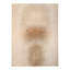 Contemporary Wool Blend Rug-254440627-254440628