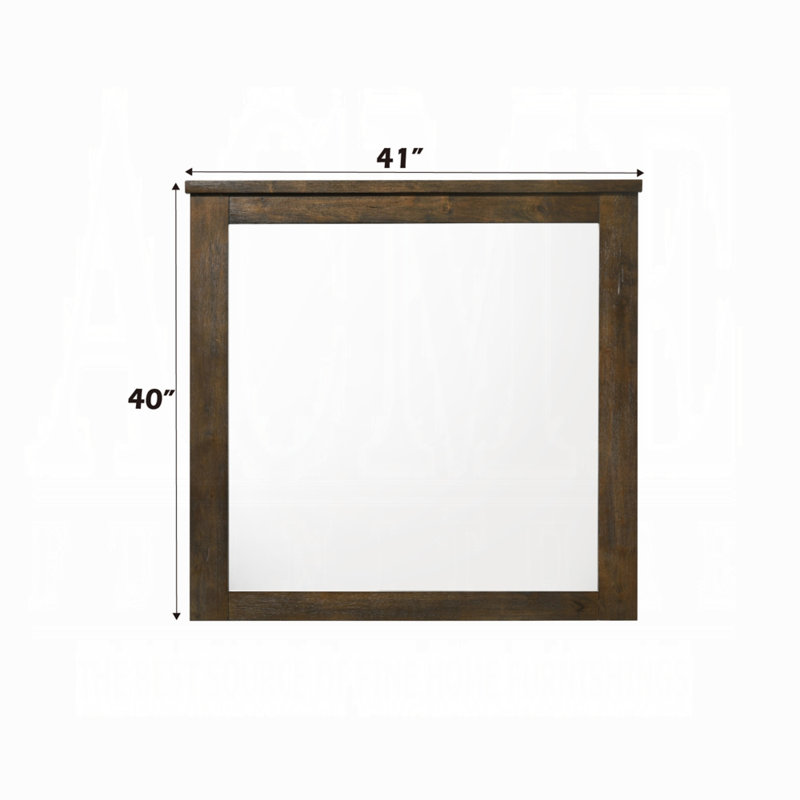 Devi Karwan Mirror