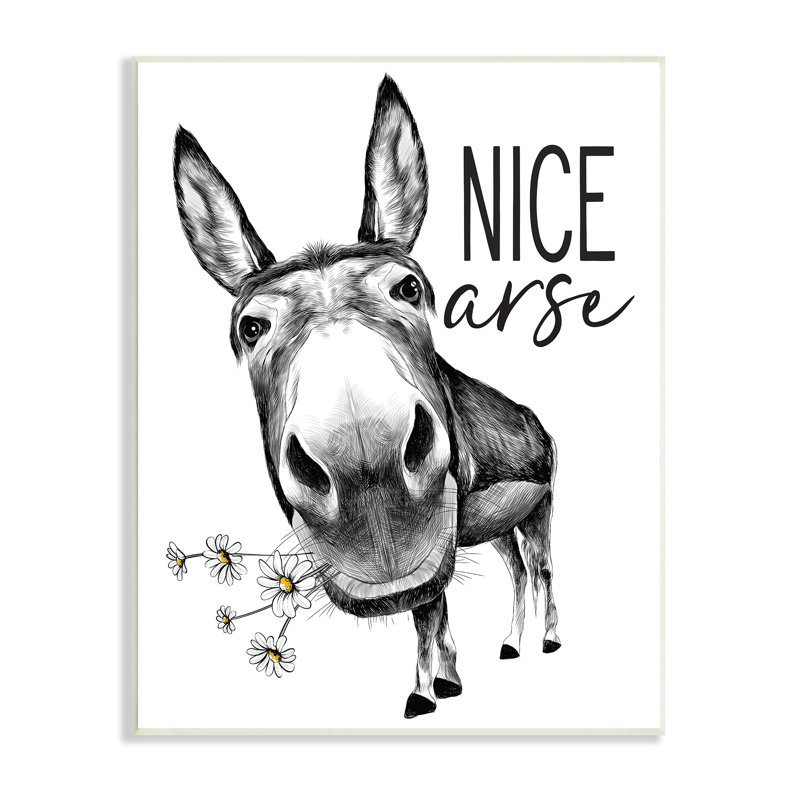 «Nice Ass», drôle d'âne, jeu de mots «Daisey» blanc avec lettres et lignes - impression, Plaque murale, H 15 po x l 10 po