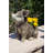 Mckamey Statue Planter