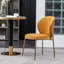 Chaise de salle à manger en velours-638398818