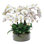 Phalaenopsis Orchid Centerpiece in Open Cylinder