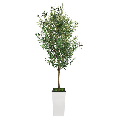 6FT Lifelike Artificial Olive Tree with Tall White Planter, Low Maintenance Faux Southern European Plant for Indoor Home Decor