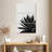 Harnek Agave Cactus BW-108591401