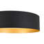 Matte Black Drum LED Flush Mount with Frosted Glass Shade 